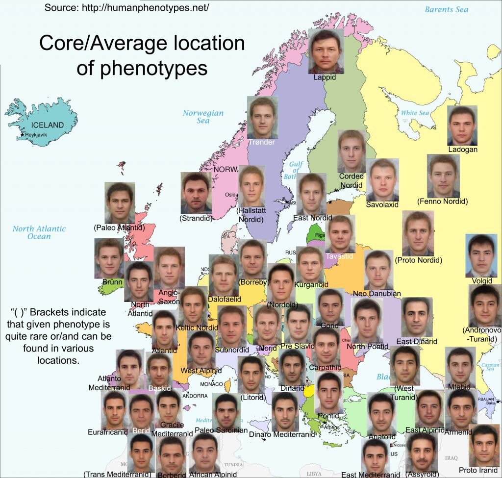 eastern european female face shapes